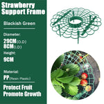 support fraises plastique noirâtre vert grille circulaire moderne clips tiges balcon jardin anti salissure