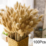 bouquet pampas séchés boho décoration intérieure beige crème marron clair fibres fines ruban vase