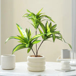 plantes artificielles arbres vertes feuilles modernes decoration exterieur pot blanc sol brunes