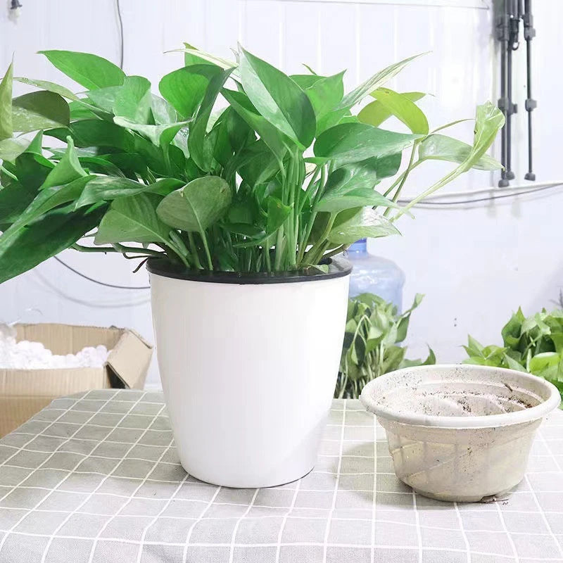pots fleurs modernes blancs noirs doubles couches absorption eau grandes plantes bonsaï