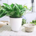pots fleurs modernes blancs noirs doubles couches absorption eau grandes plantes bonsaï