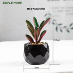 plantes artificielles bonsaï vertes modernes pot poterie décoration intérieure extérieure jardin