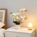 décoration intérieure orchidées artificielles fleurs douces moderne pot blanc feux vertes
