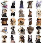 sticker chien expression faciale divers couleurs adhésif decoratif humour kawaii telephone waterbottle decoration 10pcs