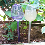 pique plantes tulipe plastique rose violet blanc translucide moderne adhésif kit arrosage