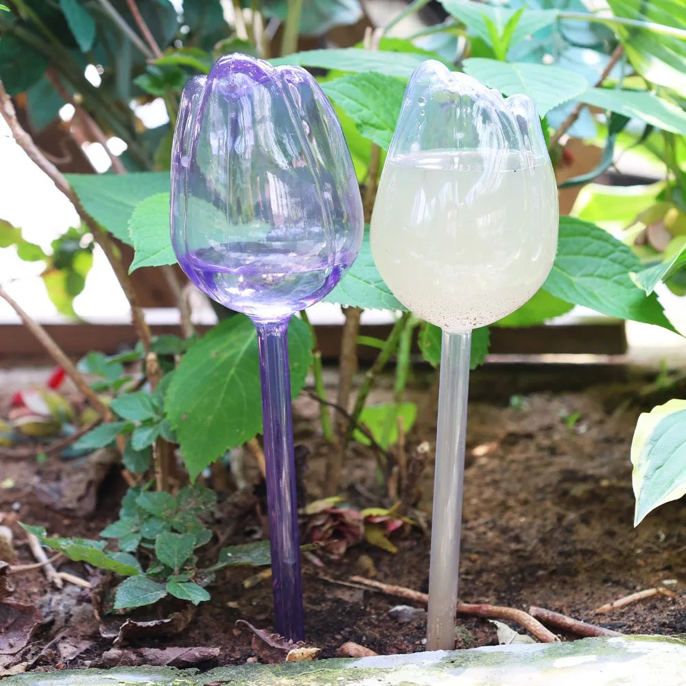 pique plantes tulipe plastique rose violet blanc translucide moderne adhésif kit arrosage