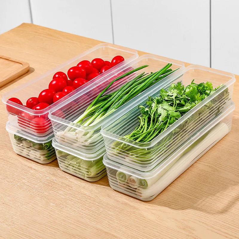 boîtes conservation alimentaire transparentes clips poignées fraîcheur respectueux environnement moderne pratique