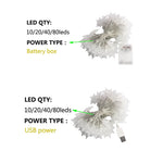 Détail des ampoules étoile LED sur fil transparent