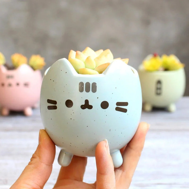 cache pot céramique porcelaine chat cartoon bleu rose blanc plante verte maison jardin decoration