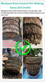 Cache-pots blancs pour jardinage intérieur