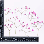 bouquet fleurs séchées naturelles variées bleu vert violet rouge jaunes ornement intérieur décoration artisanale