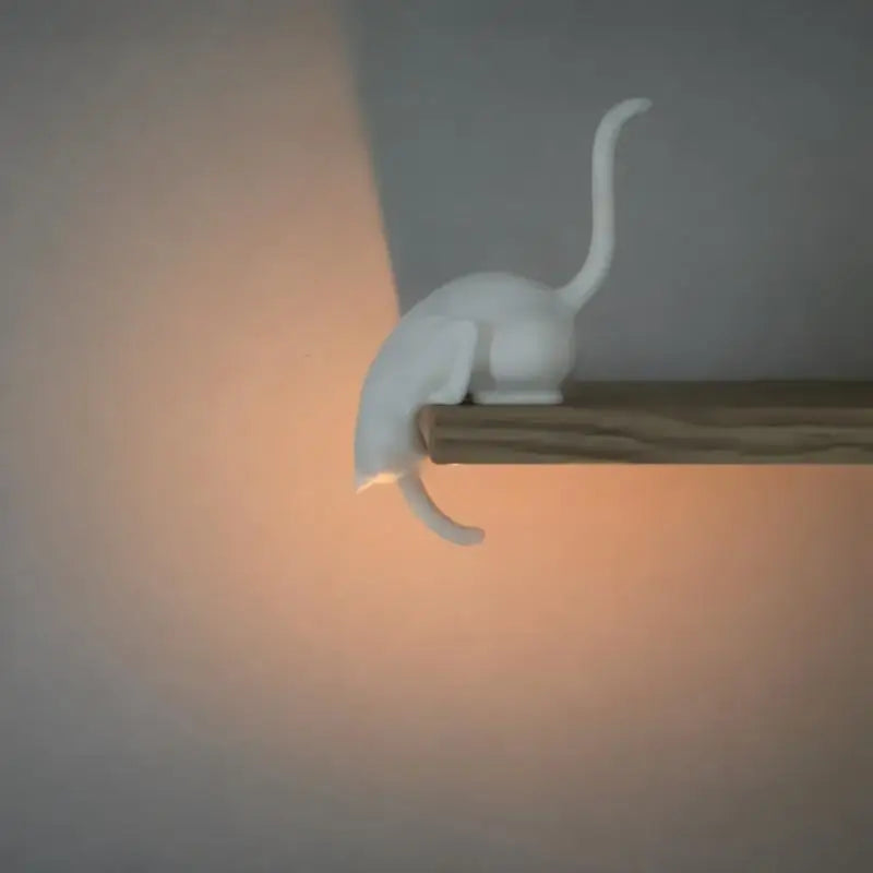 porte clés chat noir blanc lanterne décorative adhésif créatif contemporain minimaliste