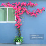 Guirlande fleurs artificielles bougainvilliers rose moderne extérieur décoration mariage anniversaire fêtes