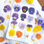 fleurs pressées violettes jaunes oranges decoration moderne assiette decoupe anniversaire intérieur maison