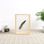 cadres photo bois transparent minimaliste rustique nature deco intérieure vintage feuilles sèches