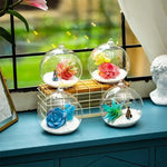 terrarium suspendu moderne végétation artificielle plante succulente gravier coloré 20cm 15cm 12cm 10cm 8cm