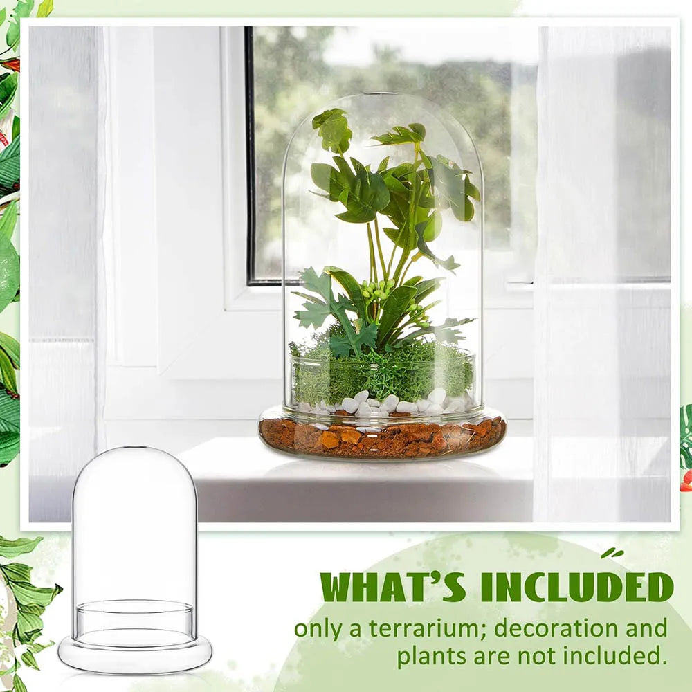 terrarium moderne transparent verre base vase plantes maison cloche