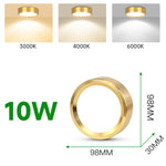 Spot LED Or Moderne Surface Montée Plafonnier 5W 10W 15W 25W Couleurs Changeables