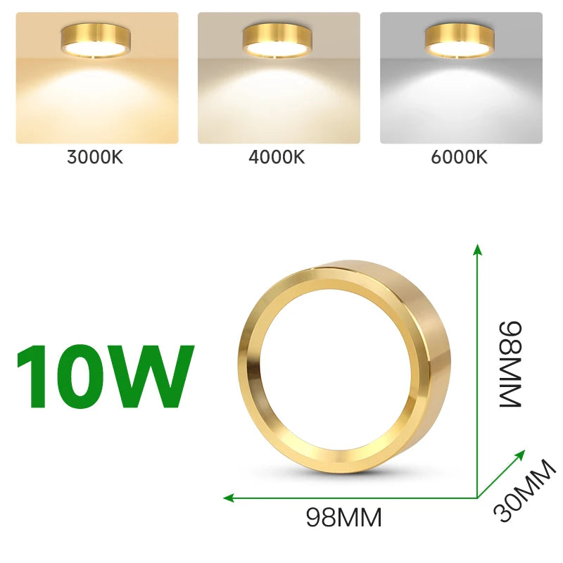Spot LED Or Moderne Surface Montée Plafonnier 5W 10W 15W 25W Couleurs Changeables