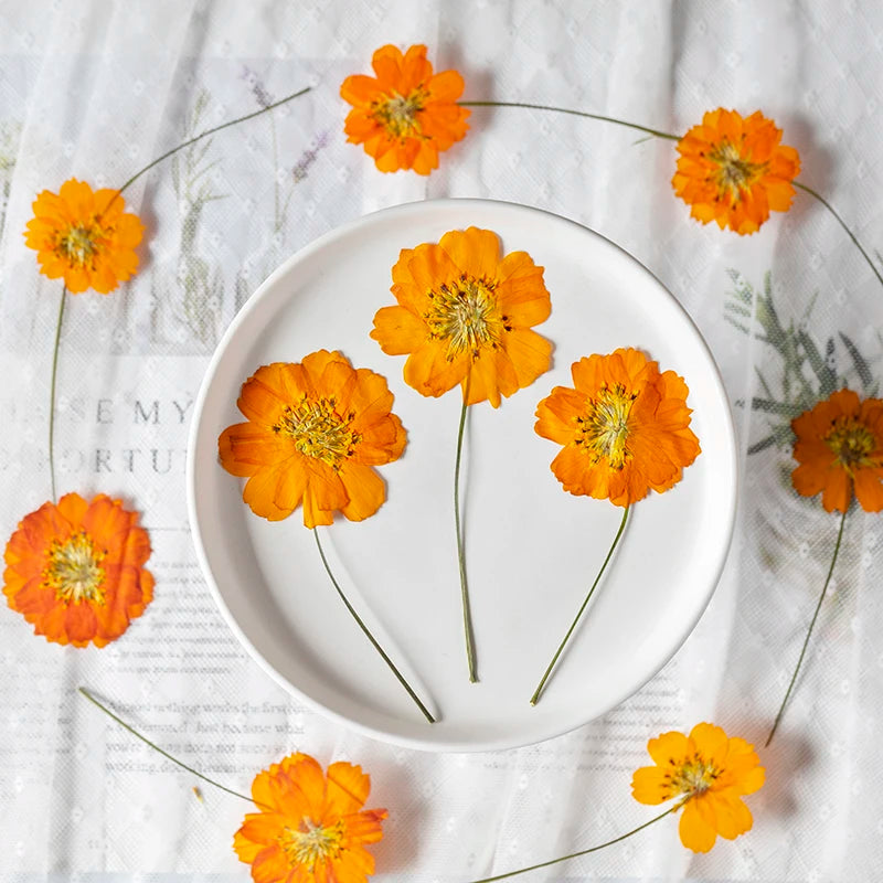 fleurs séchées orange jaune naturel decoration intérieur stamens petals clips artificiel rustic DIY