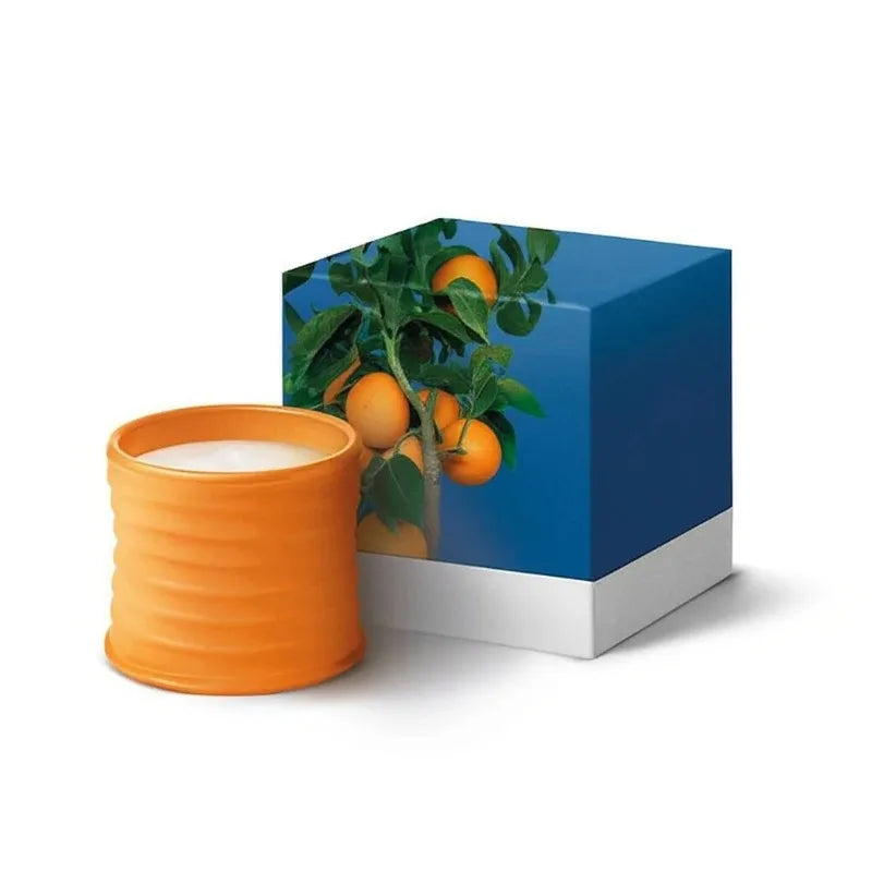 bougies parfumées fleur aromathérapie rouge bleu moderne boîte cadeau ambiance maison
