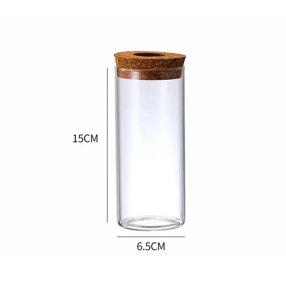 Pot plante hydroponique transparent moderne minimaliste 8cm 10cm 12cm 15cm 20cm