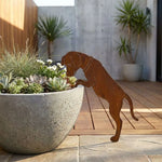 décoration rustique chien métal rouille pot fleurs jardin ornement robusteextérieur