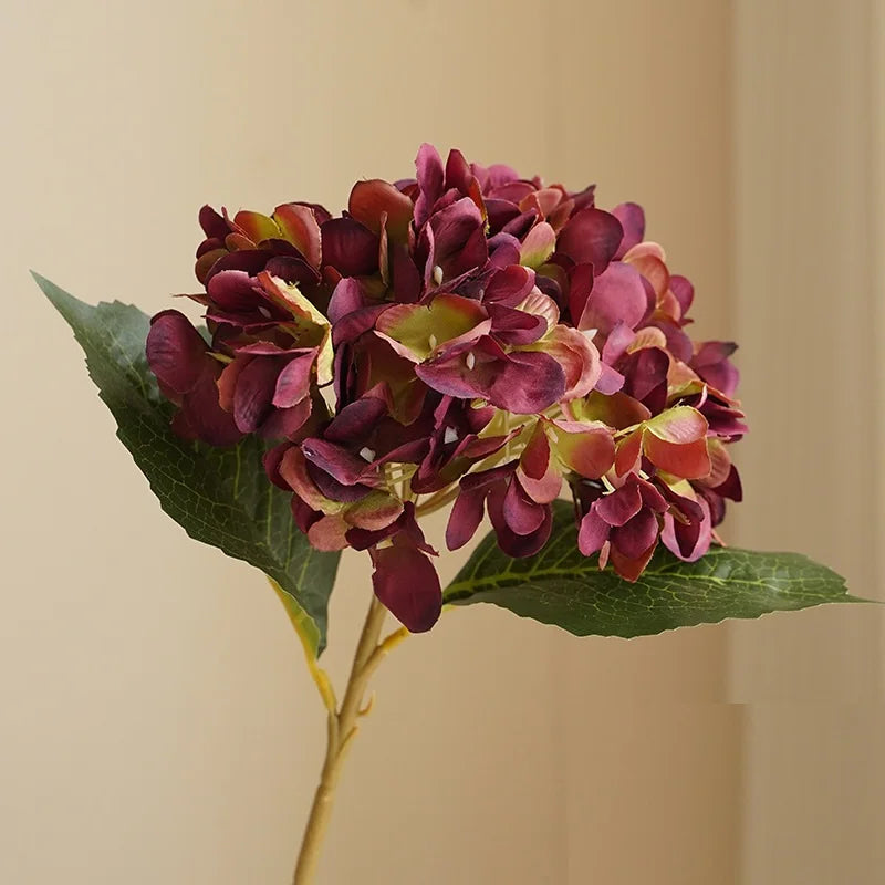 décoration intérieure bouquet hortensia rose blanc bleu clair vert naturel moderne