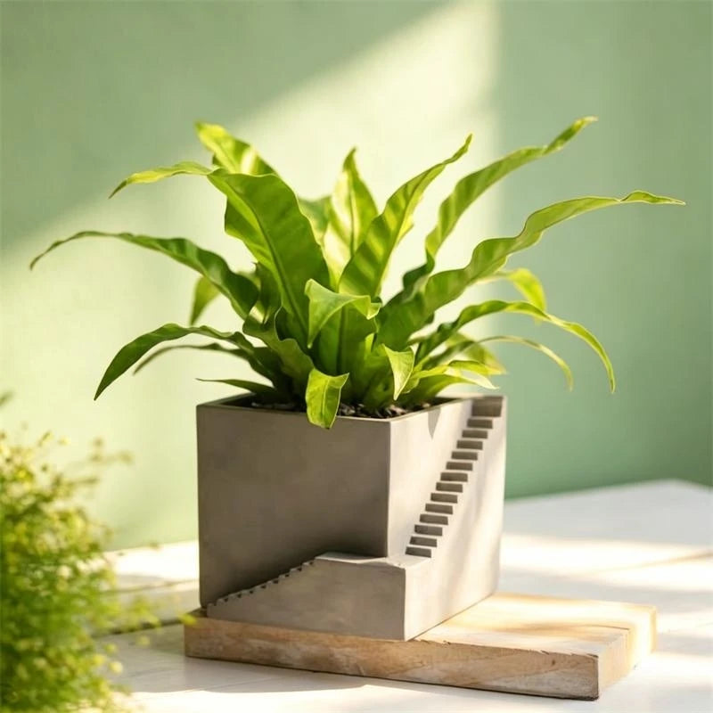 pots plantes silicone forme escalier architectural moderne gris blanc noir minimalistes decoration maison translucides