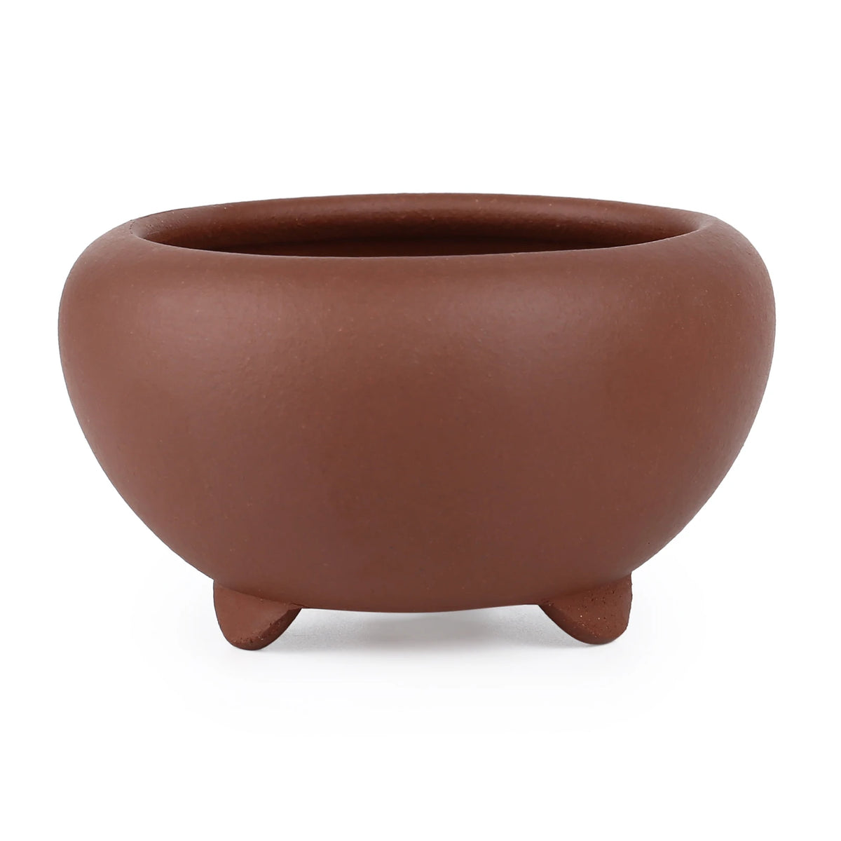 pots succulentes violet marron noir pierre mat classiqueintérieur décoration maisonjunction classicbeige