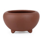 pots succulentes violet marron noir pierre mat classiqueintérieur décoration maisonjunction classicbeige