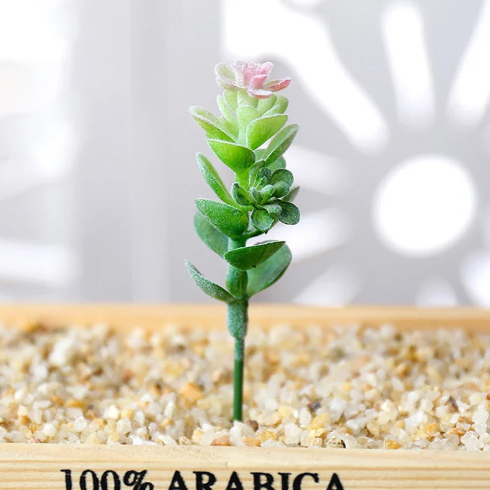 plante succulente artificielle réaliste petit bonsaï décoratif vert rose maison intérieur