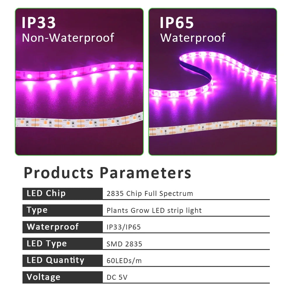 ruban led violet culture végétale adhésif ip65 waterproof moderne 5v 3m 4m 5m