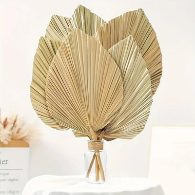 Éventail en feuilles de palmier séchées beige sur mur blanc
