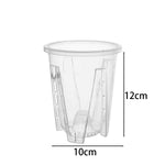 cache pot transparent moderne perforé adhésif fleur plante verte pot culture orchidée papillon racine