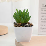 plantes succulentes artificielles vert rouge marron moderne minimaliste intérieur décoration maison