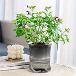 Pot plante moderne rayures verticales plante verte gris bleu rose