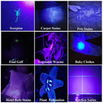 lampe torche uv rechargeable led gris noir 5w zoomable certifications ccc fcc rohs ul