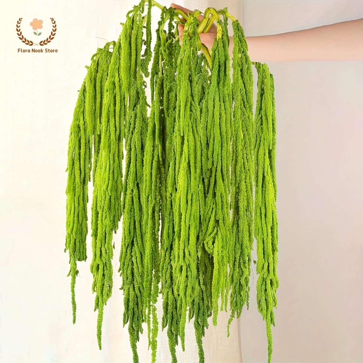 décoration murale fleurs séchées naturelles vert clair finement filamenteuses intérieur anniversaire baby shower