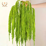 décoration murale fleurs séchées naturelles vert clair finement filamenteuses intérieur anniversaire baby shower