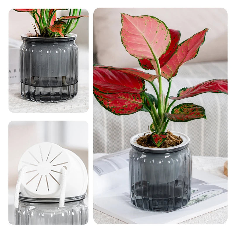 pots plante hydroponique transparent gris moderne minimaliste ridges verticales terre graines