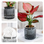 pots plante hydroponique transparent gris moderne minimaliste ridges verticales terre graines