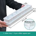 lot pot succulentes plastique blanc moderne trous drainage aération plantes maison