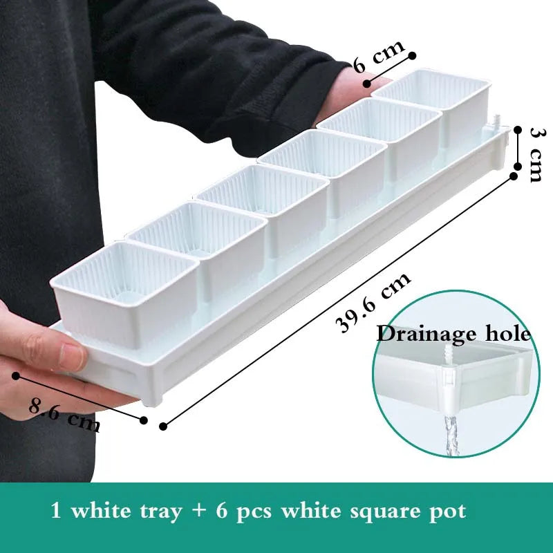 lot pot succulentes plastique blanc moderne trous drainage aération plantes maison