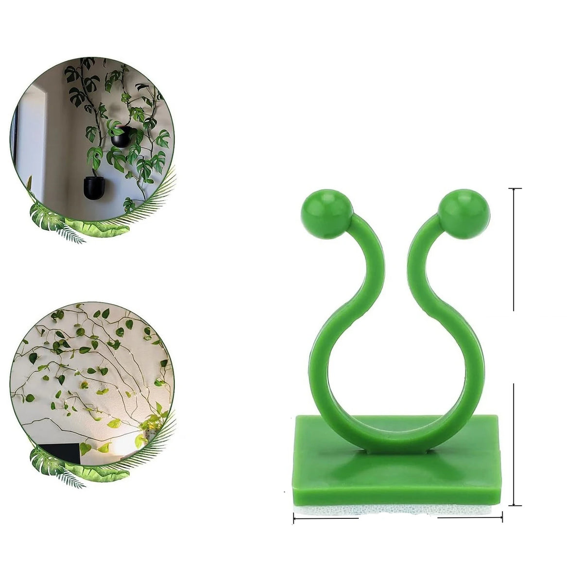 supports muraux auto adhésifs plantes grimpantes 100 pièces vert simples modernes