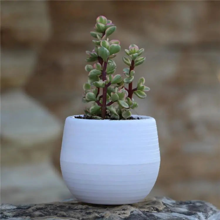 mini pot fleurs moderne bleu vert rayures horizontales décoration plastique