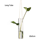 vases suspendus verre transparent motifs oiseaux coeurs plantes vertes minimaliste terrarium hydroponie