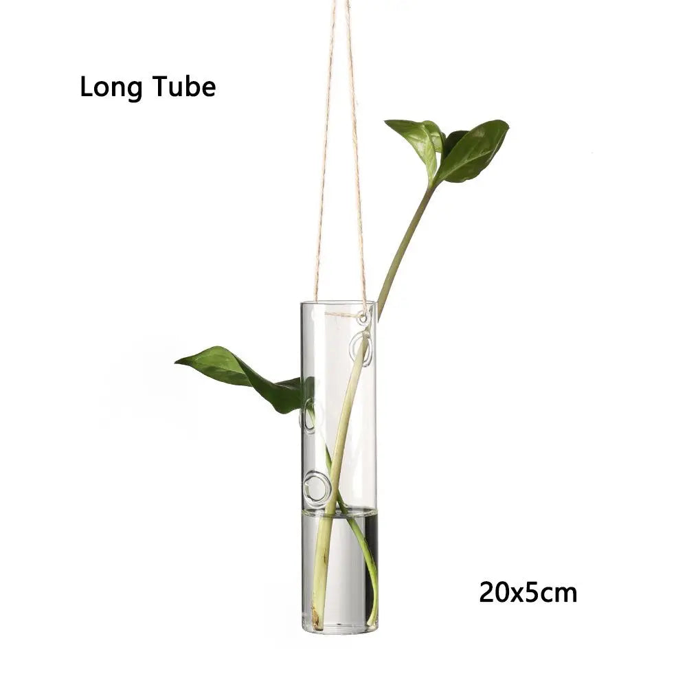 vases suspendus verre transparent motifs oiseaux coeurs plantes vertes minimaliste terrarium hydroponie