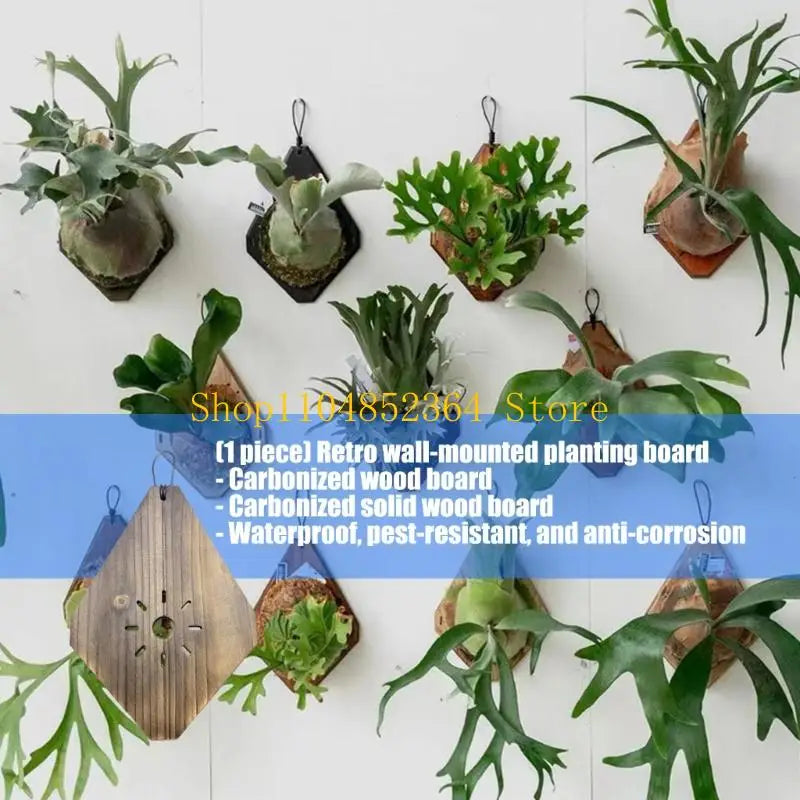 planches bois marron plantes murales rustique anneaux suspension différents motifs trouSTRUCTURE END