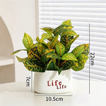 plantes artificielles vertes moderne pots blancs décoration intérieure feuilles variées minimaliste
